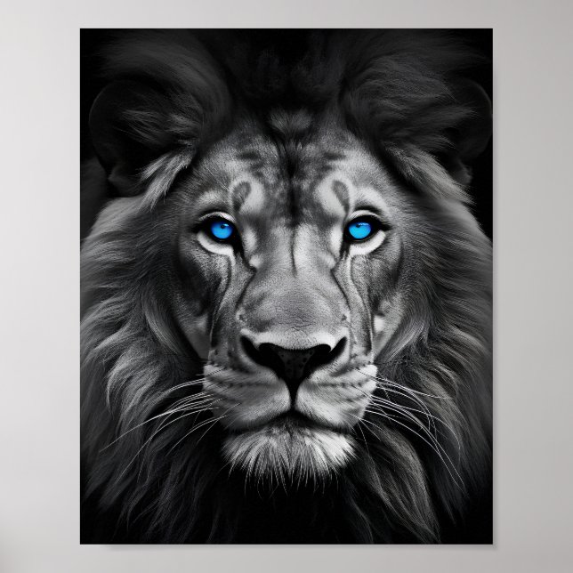 Affiche Lion bleu (Devant)