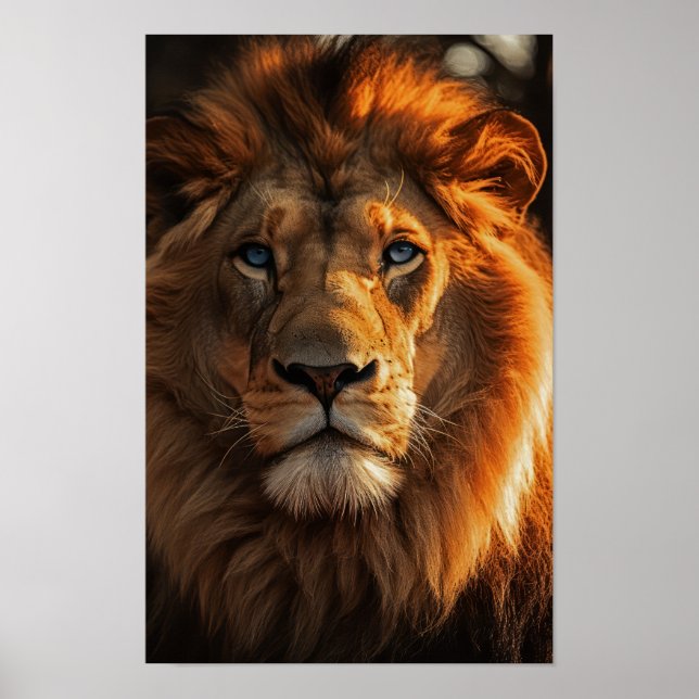 Affiche Lion bleu (Devant)
