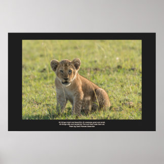 Affiche Lion Cub En Milieu Naturel Personnaliser Le Texte