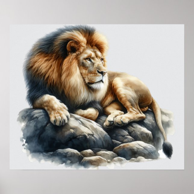 Affiche Lion d'Afrique en aquarelle (Devant)