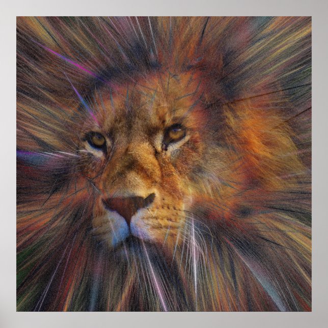 Affiche Lion dans la galerie (Devant)
