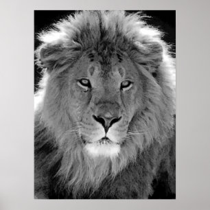 Affiche Lion de leadership motivationnel noir et blanc