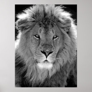 Affiche Lion de leadership motivationnel noir et blanc