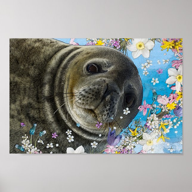 Affiche Lion de mer nager dans les fleurs (Devant)