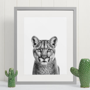 Affiche Lion de montagne Puma Big Chat noir blanc