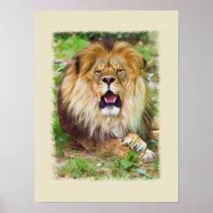 Affiche Lion d'hurlement