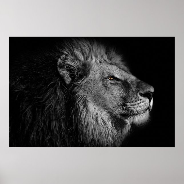 Affiche Lion en noir et blanc (Devant)