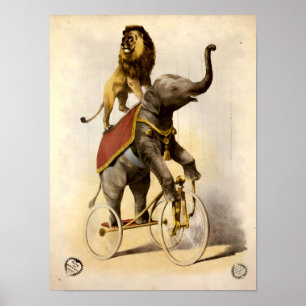 Affiche Lion et éléphant de cirque de l'ère victorienne su