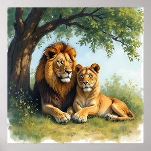 Affiche Lion et lionne sous un arbre