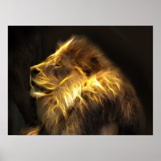 Affiche Lion fractal