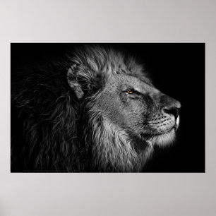 Affiche Lion in black and white