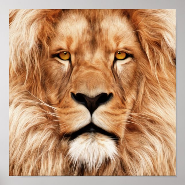 Affiche Lion Le Roi Photo Peinture (Devant)