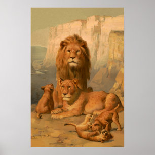 Affiche Lion, lioness and cubs