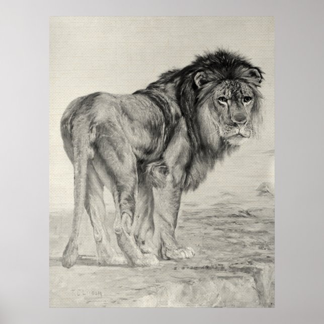 Affiche Lion Majestic vintage (Devant)