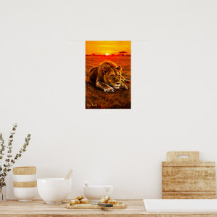 Affiche Lion mâle au repos sur la savane dorée