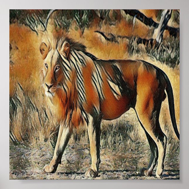 Affiche Lion marchant dans les buissons (Devant)