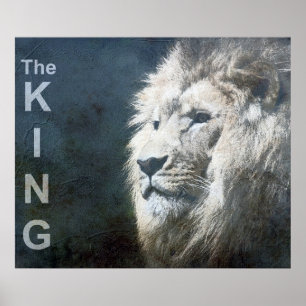 Affiche Lion Modèle tendance Nature Animal Photo The King