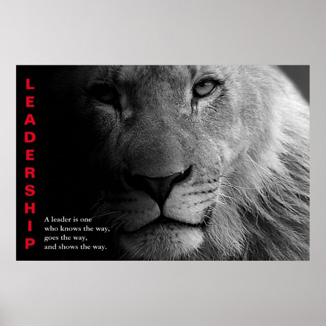 Affiche Lion noir blanc yeux leadership motivationnel (Devant)