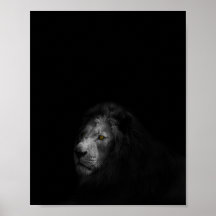 Lion, noir et blanc,