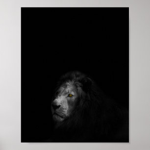 Affiche Lion, noir et blanc,