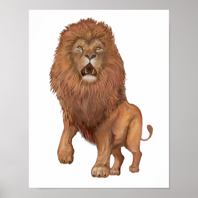 Affiche Lion Petit (Devant)