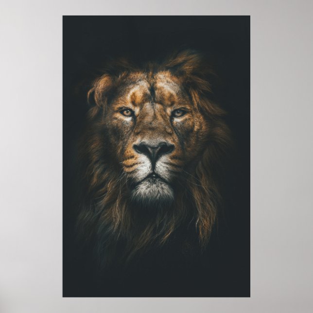 Affiche Lion Photographie moderne (Devant)