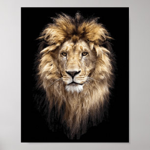 Affiche Lion Principal Animal Face Big Cat