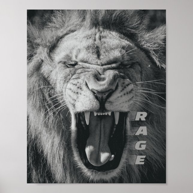 Affiche Lion Rage noir et blanc Rocher (Devant)