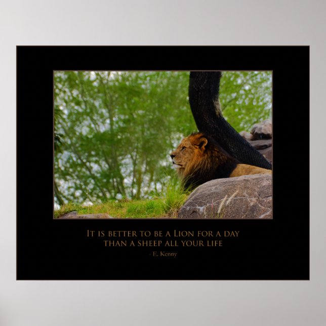 Affiche Lion sur le Mont (Devant)