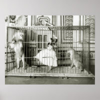 Lion Tamer: 1897