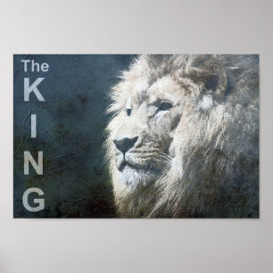 Affiche Lion tendance sur mesure Modèle Nature Animal Le R