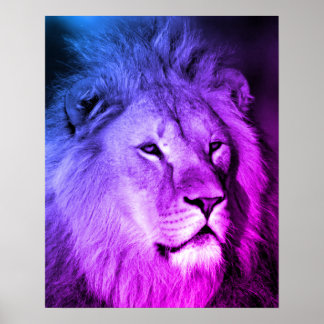 Affiche Lion Violet Bleu - Art de la photographie animale