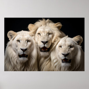 Affiche Lion Wild Animal Portrait Fierce Power