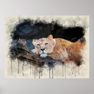 Affiche Lioness
