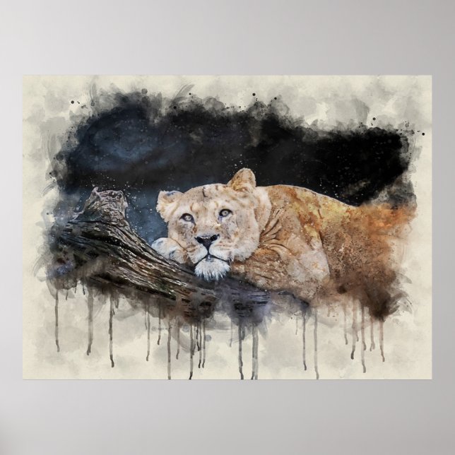 Affiche Lioness (Devant)