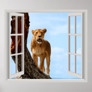 Affiche Lioness