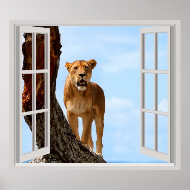 Affiche Lioness (Devant)