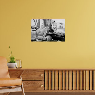 Affiche Lioness Wildlife Black & White Photography Art