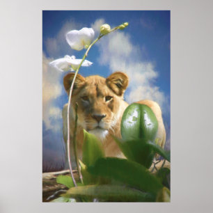 AFFICHE LIONNALITÉ ET ORCHID