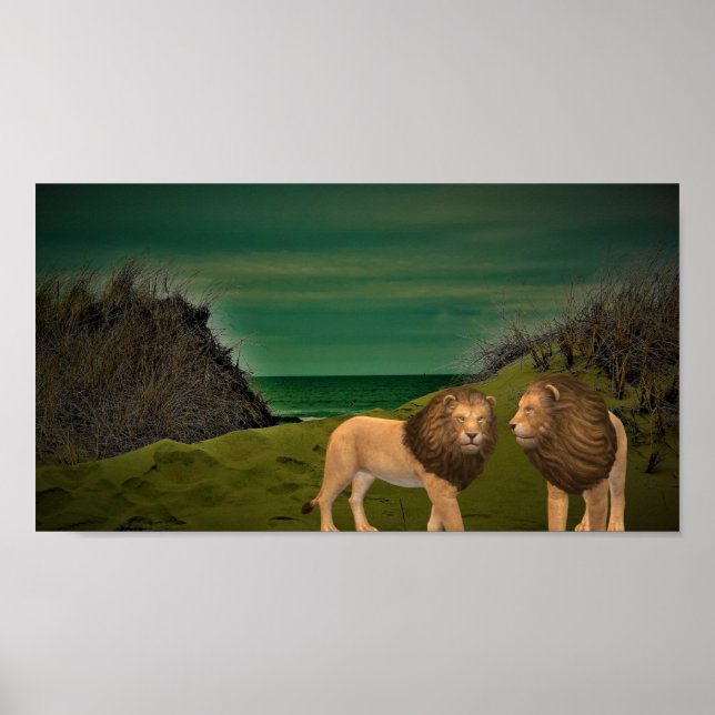 Affiche Lions (Devant)