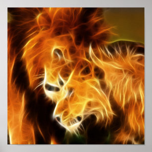 Affiche Lions amoureux