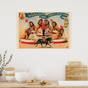 Affiche Lions de cirque, illustration vintage,