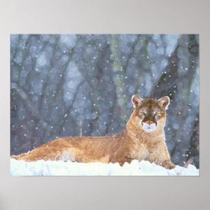 AFFICHE LIONS DE MONTAGNE