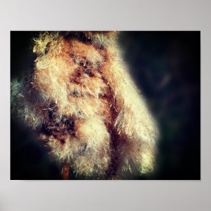 Affiche Liquide de rotin gros