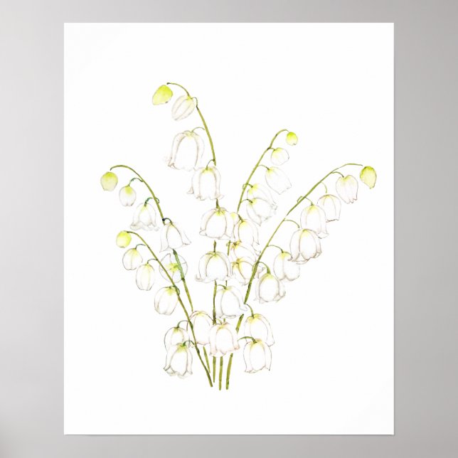 Affiche lis blanc de vallée 2021 (Devant)