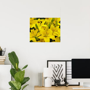 Affiche Lis floraux asiatiques jaunes Photographie