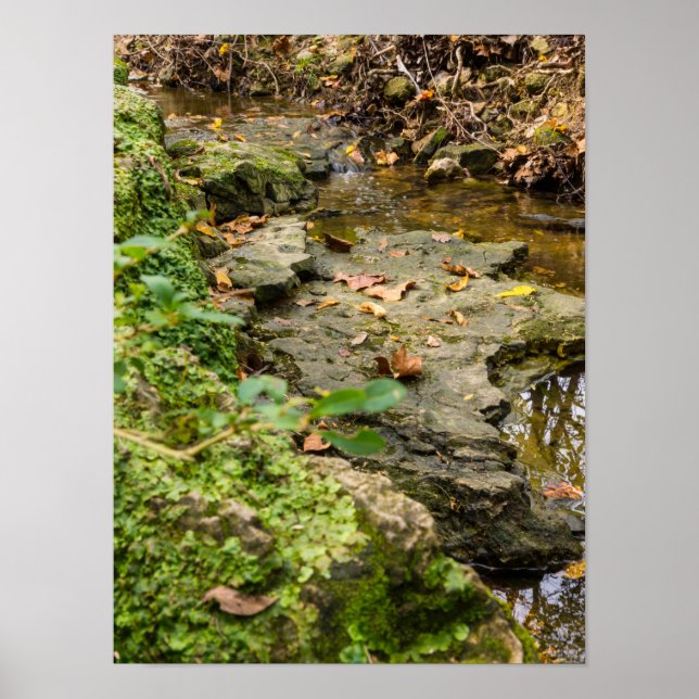 Affiche Lit de roche North Wears Creek (Devant)