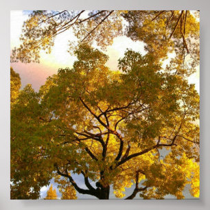 Affiche Lit en dedans