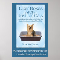 Litter Boxes Arent Just For cats
