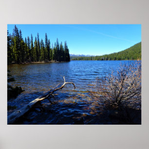 Affiche Little Cultus Lake, OU